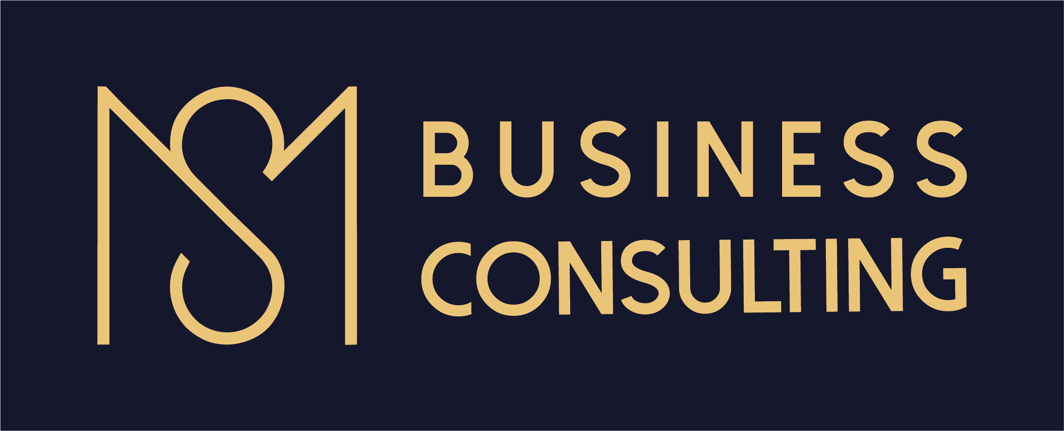 MS Business Consulting